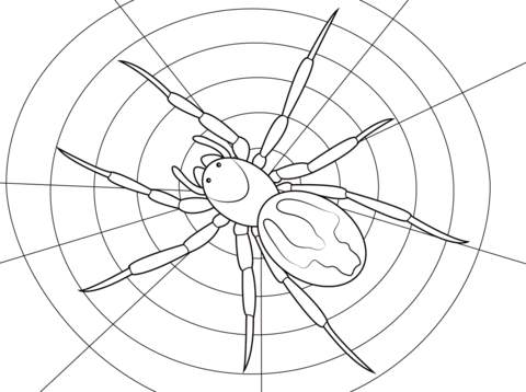 Lace Webbed Spider Coloring Page